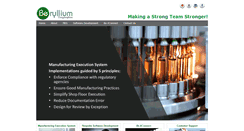 Desktop Screenshot of berylliumpr.com